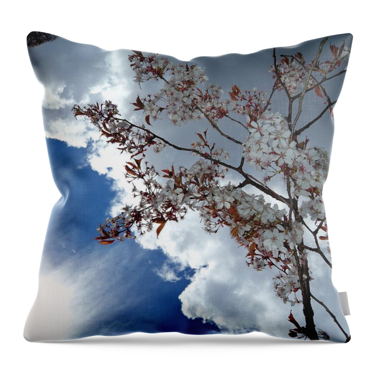 Sky Throw Pillow featuring the photograph Heaven Shines by Krystyna Spink