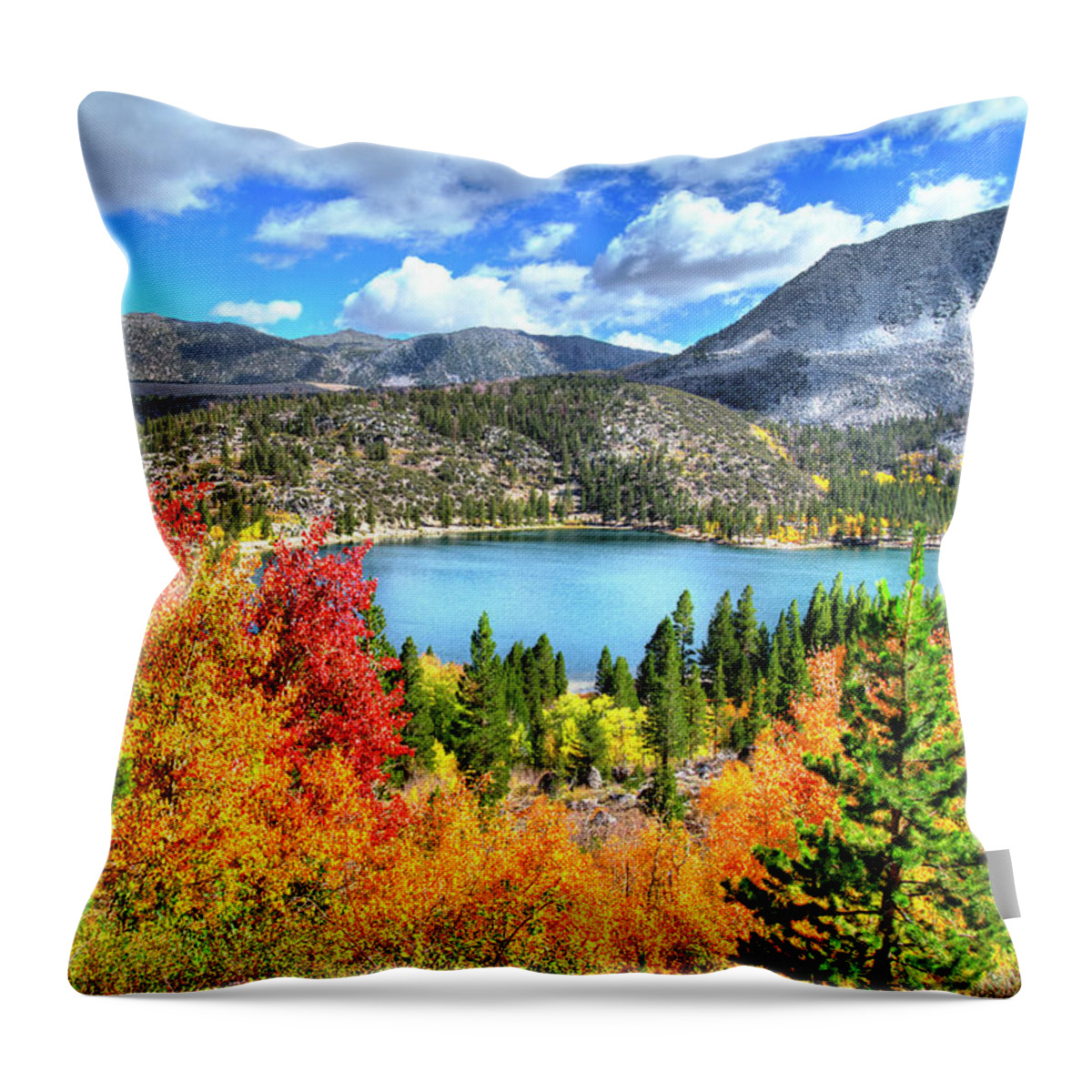 Aspen Trees Throw Pillow featuring the photograph Heavenly Colors at Rock Creek Lake by Lynn Bauer