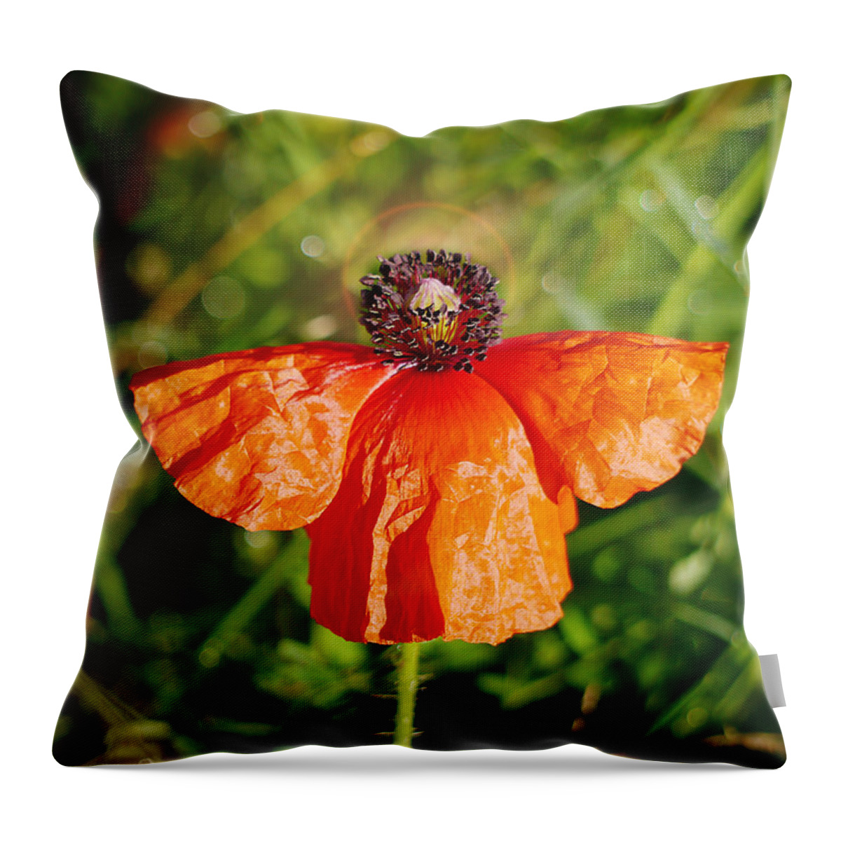 Richard Reeve Throw Pillow featuring the photograph Heavenly Poppy by Richard Reeve