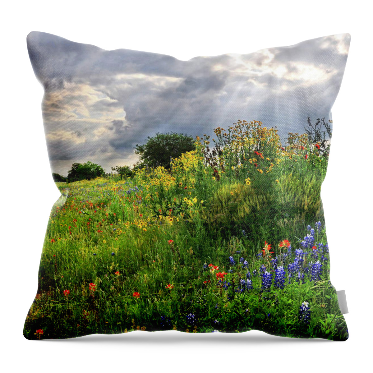 Wildflowers Throw Pillow featuring the photograph Heaven's Light by Lynn Bauer