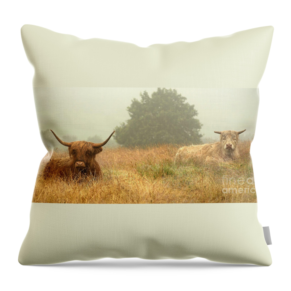 Cows Throw Pillow featuring the photograph Heelans In The Mist by Linsey Williams