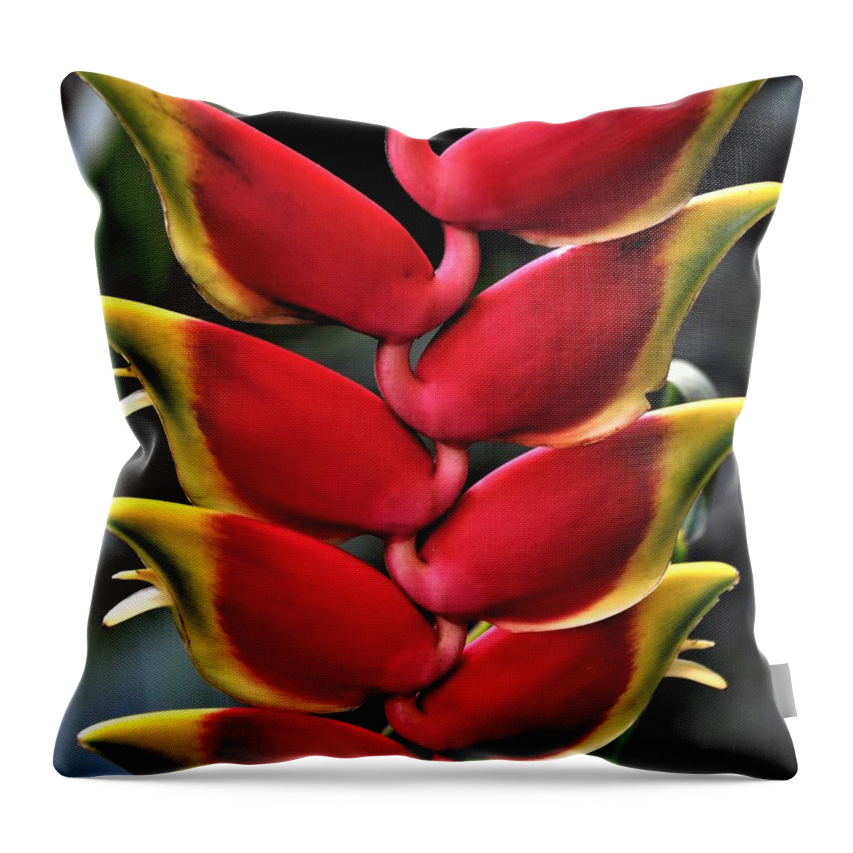 Heliconia Throw Pillow featuring the photograph Heliconia Rostrata by Heidi Fickinger