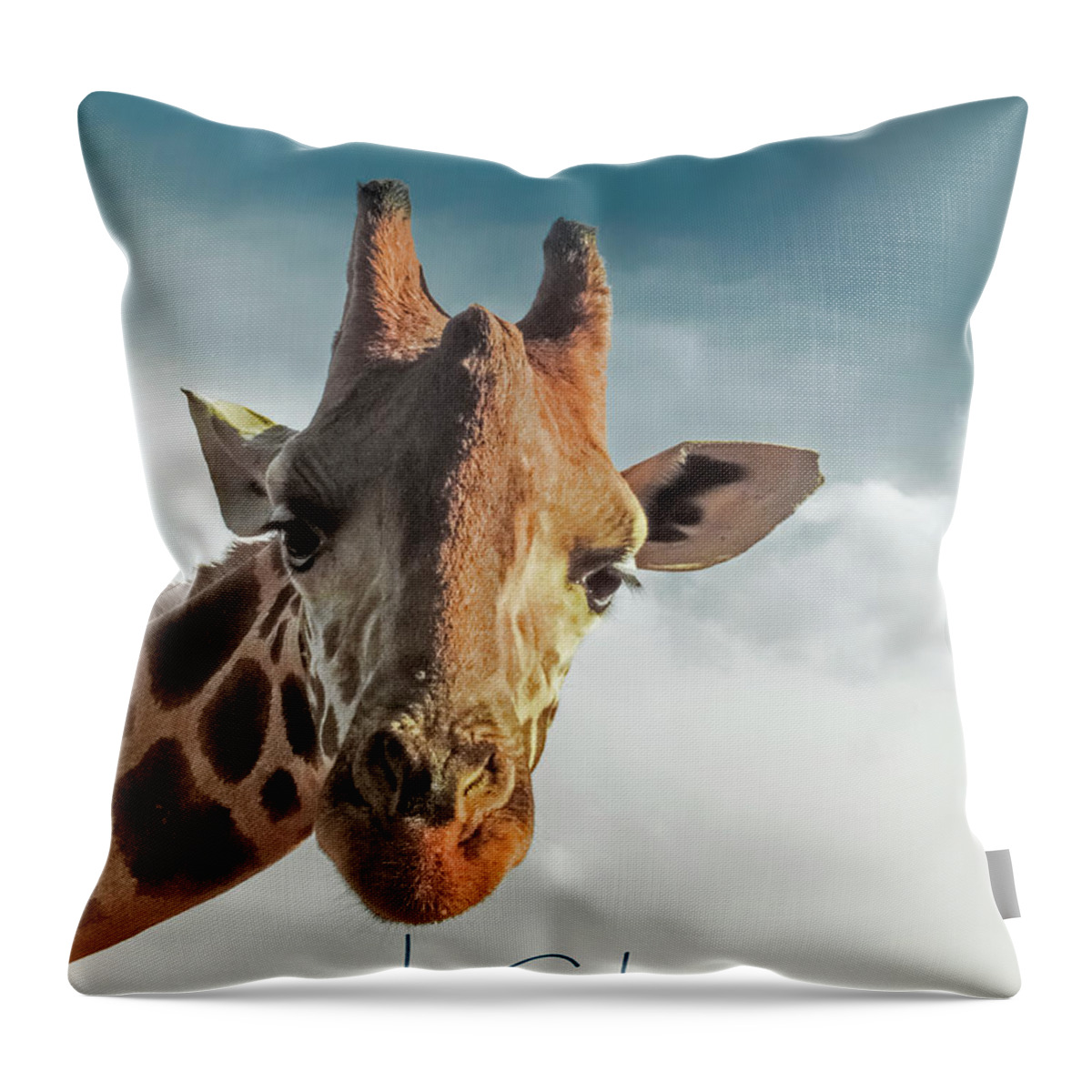 Giraffe Throw Pillow featuring the photograph Hello Down There by Karen Lewis
