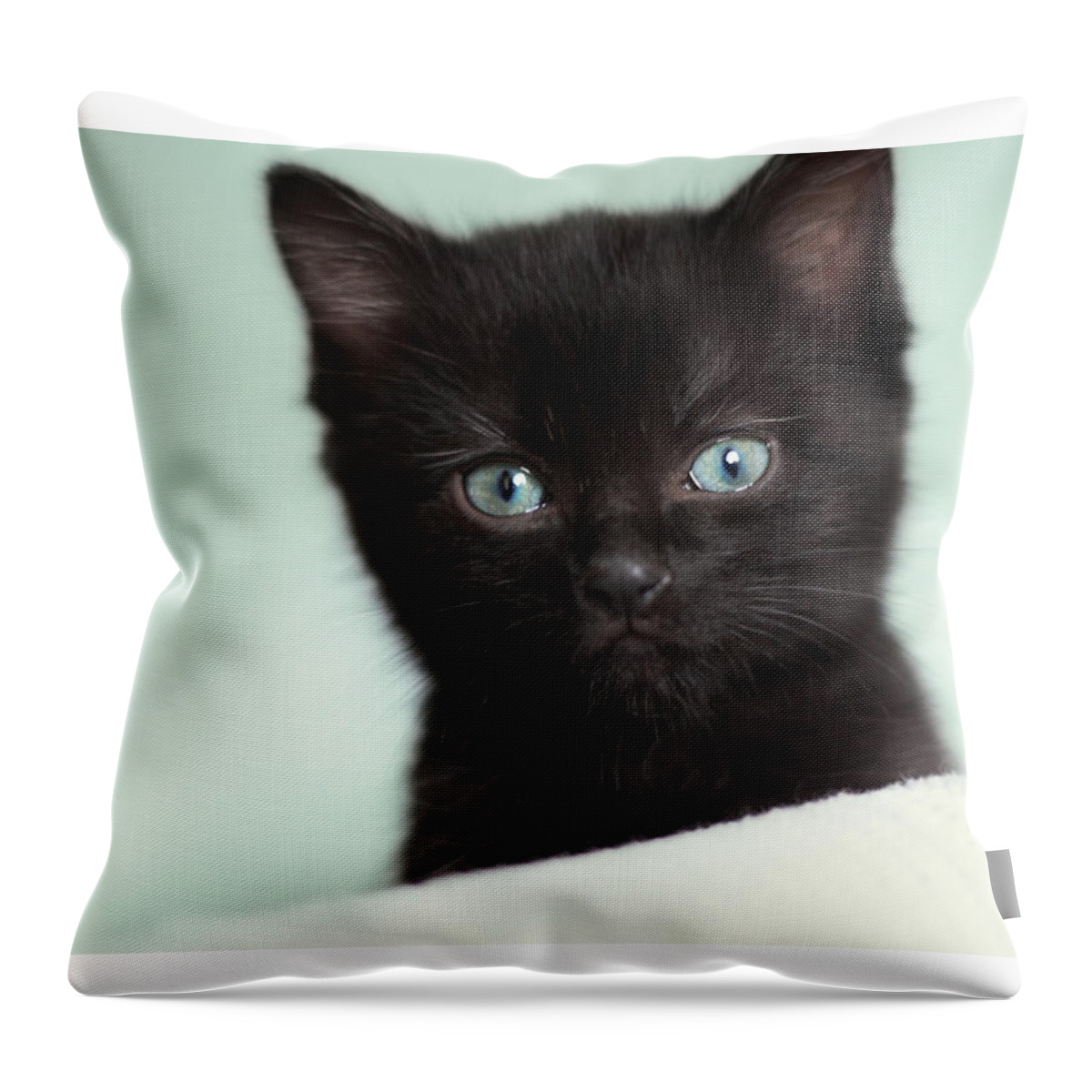 Black Cat Throw Pillow featuring the photograph Hello Kitty by Amy Tyler