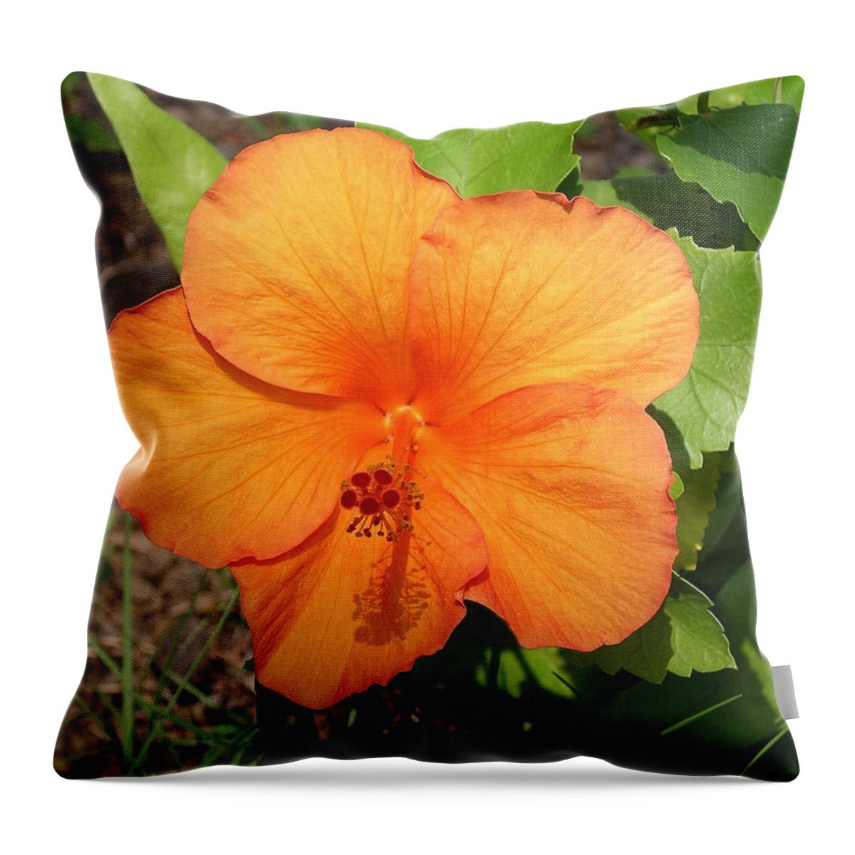 Hibiscus Throw Pillow featuring the photograph Hello There by Karen Nicholson