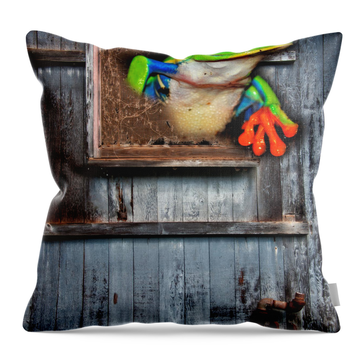 Frog Throw Pillow featuring the photograph Hello World by Harry Spitz