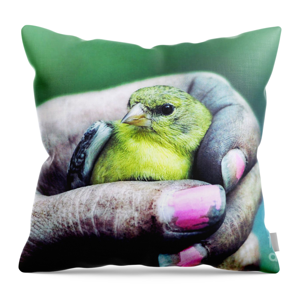 Goldfinch Throw Pillow featuring the photograph Helping Hand by Tina LeCour