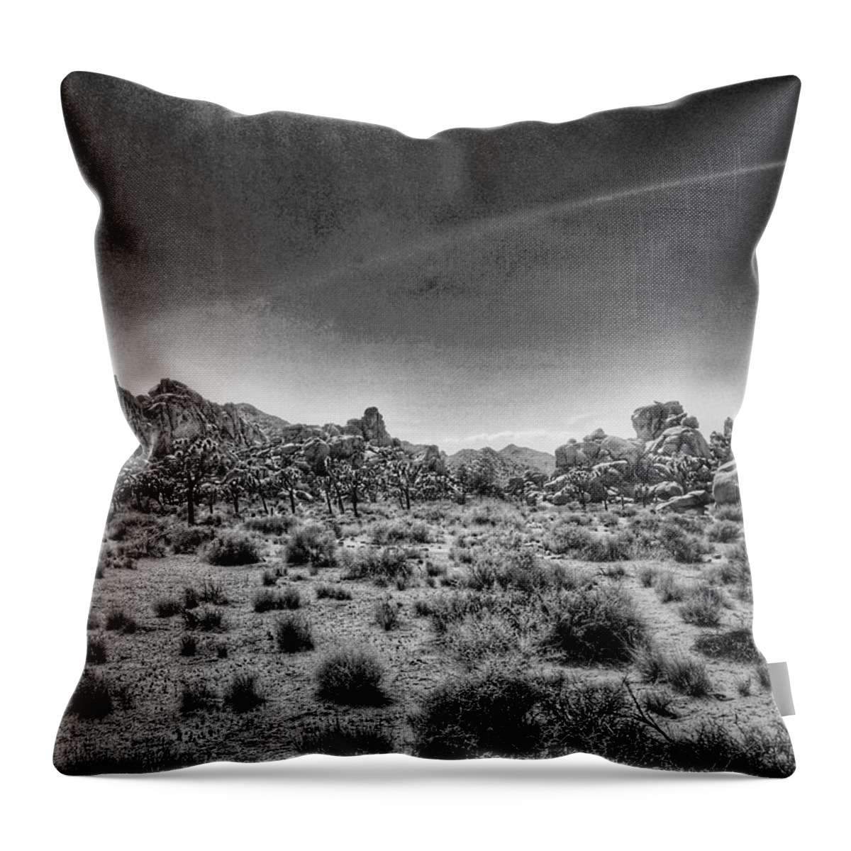 Joshua Tree Throw Pillow featuring the photograph Hemingway Landscape 1 - BW by Kyle Mcdonough