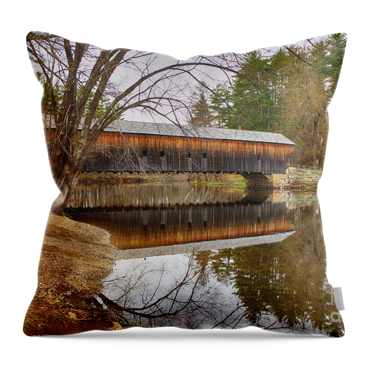 Branches Throw Pillow featuring the photograph Hemlock Bridge 1857 by Elizabeth Dow
