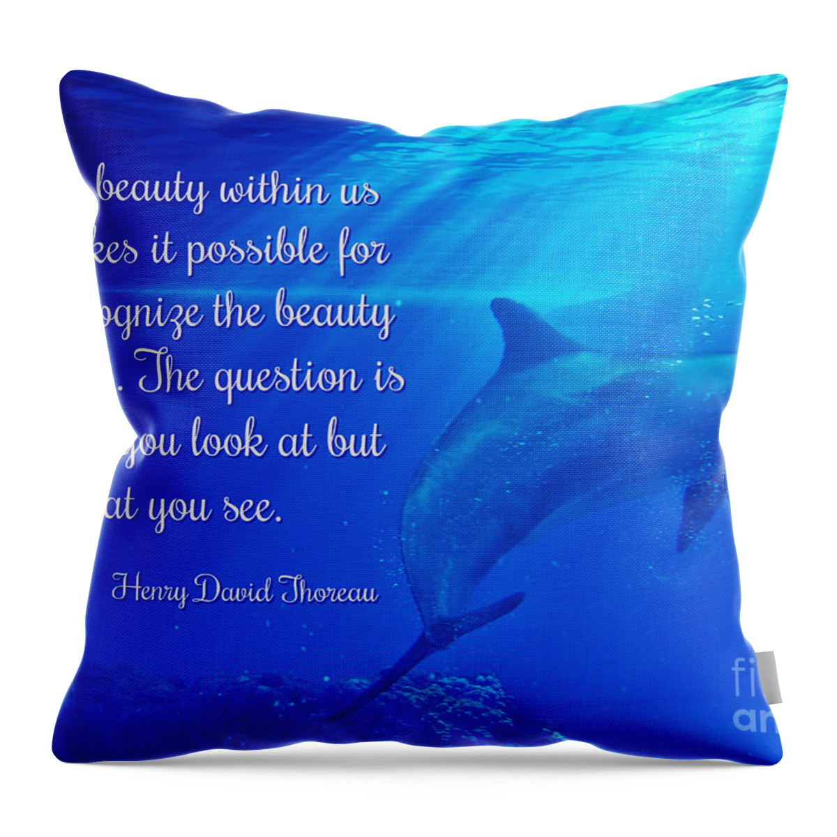 Beauty Throw Pillow featuring the photograph Henry David Thoreau Quote on Beauty with Dolphins by Stephanie Laird