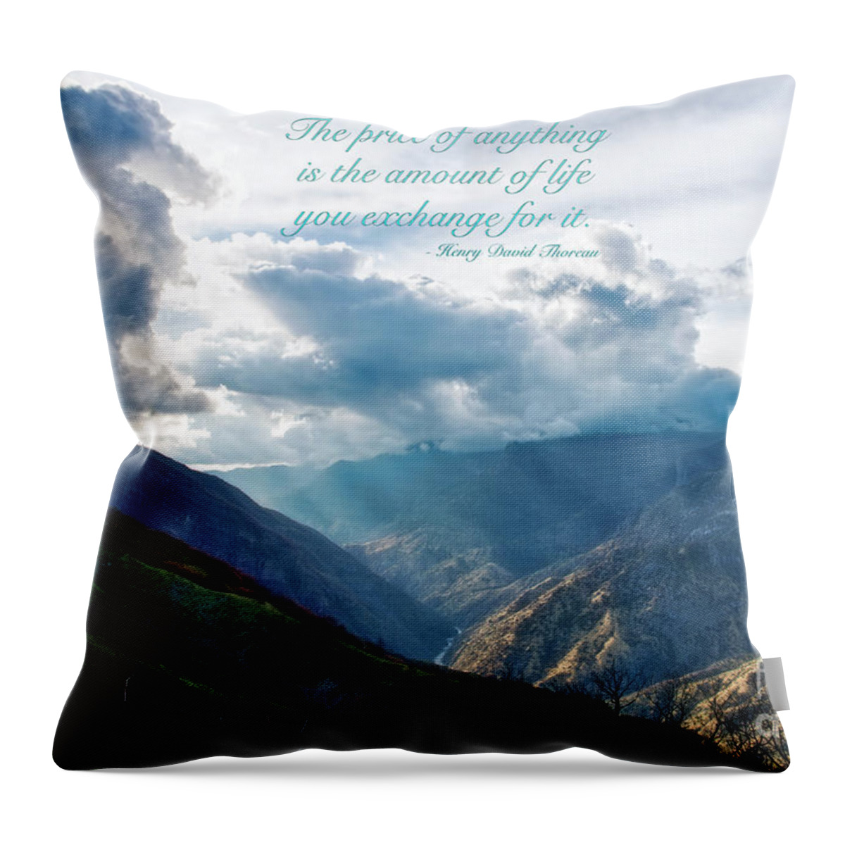 Mountain Throw Pillow featuring the photograph Henry David Thoreau the Price by David Arment
