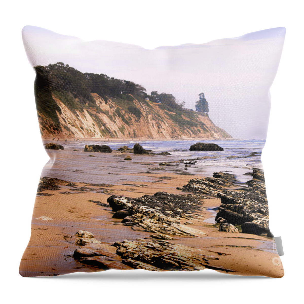 Santa Barbara Throw Pillow featuring the photograph Henry's Beach by Richard Lynch