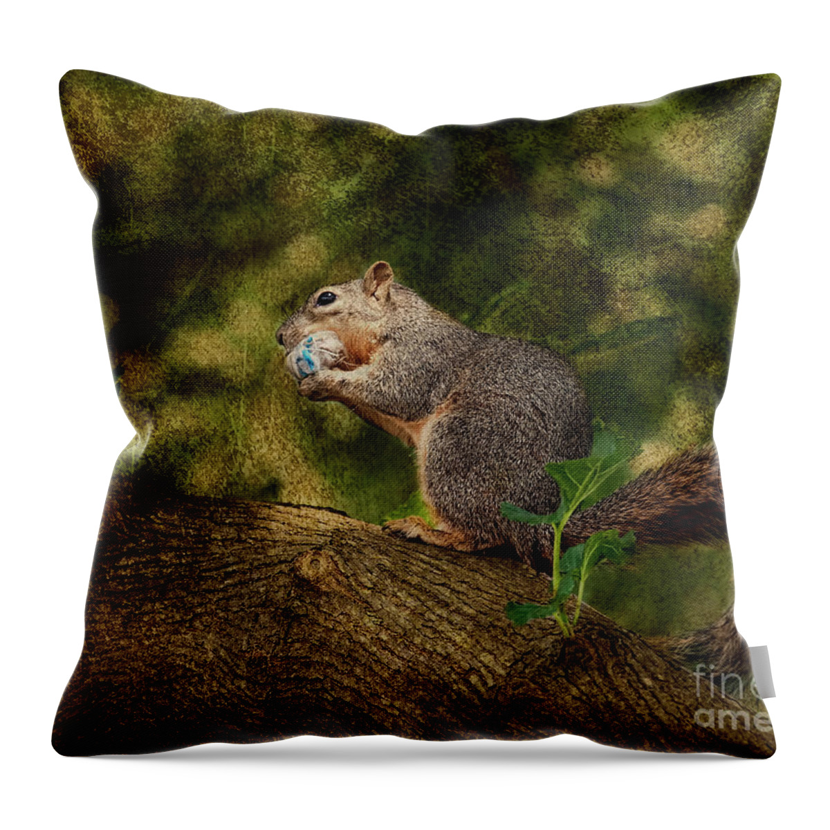 Squirrel Throw Pillow featuring the photograph Her Treasure by Joan Bertucci