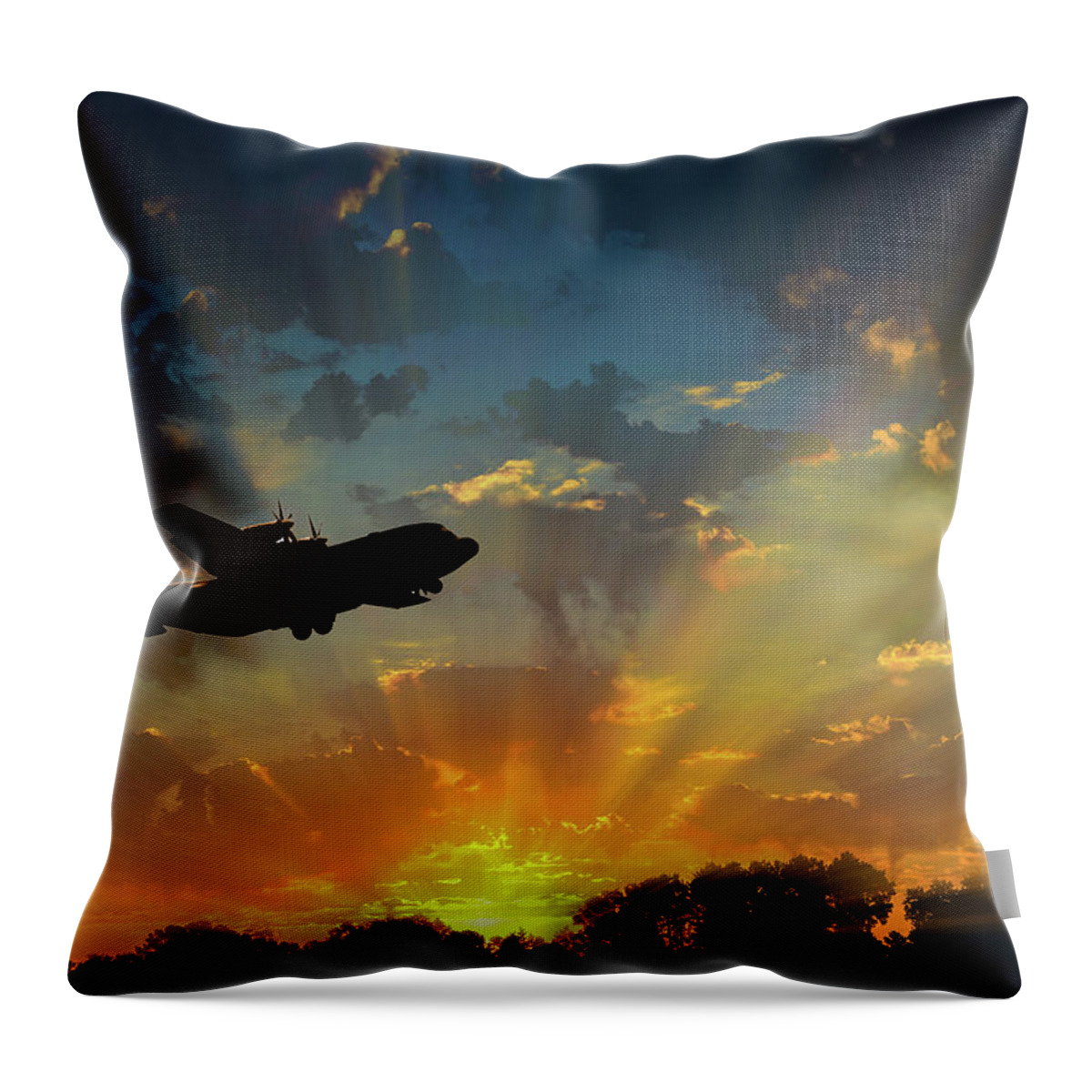2017-05-09 Throw Pillow featuring the photograph Hercules in the Morning by Phil And Karen Rispin