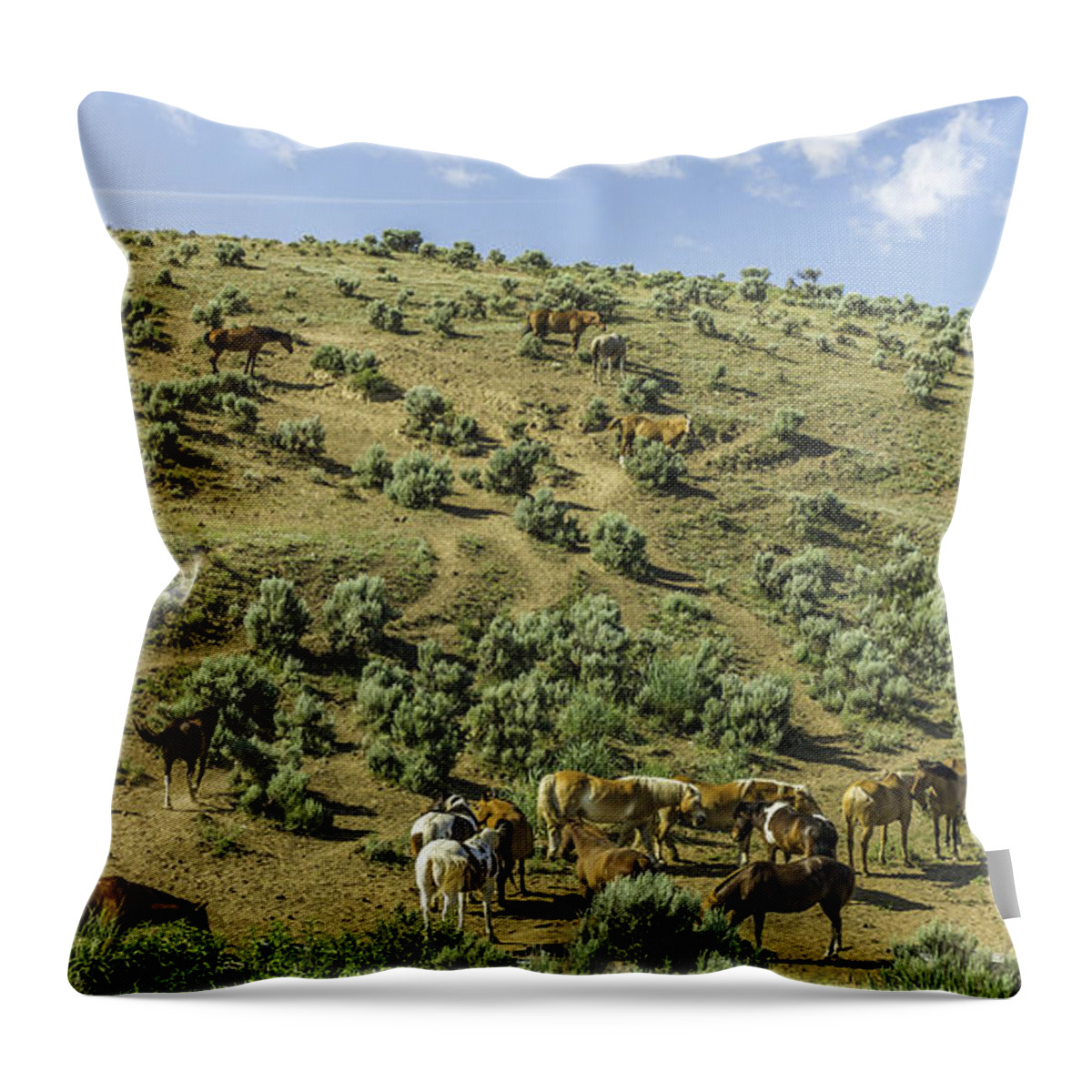 Horses Throw Pillow featuring the photograph Herd of Horses by Mark Joseph