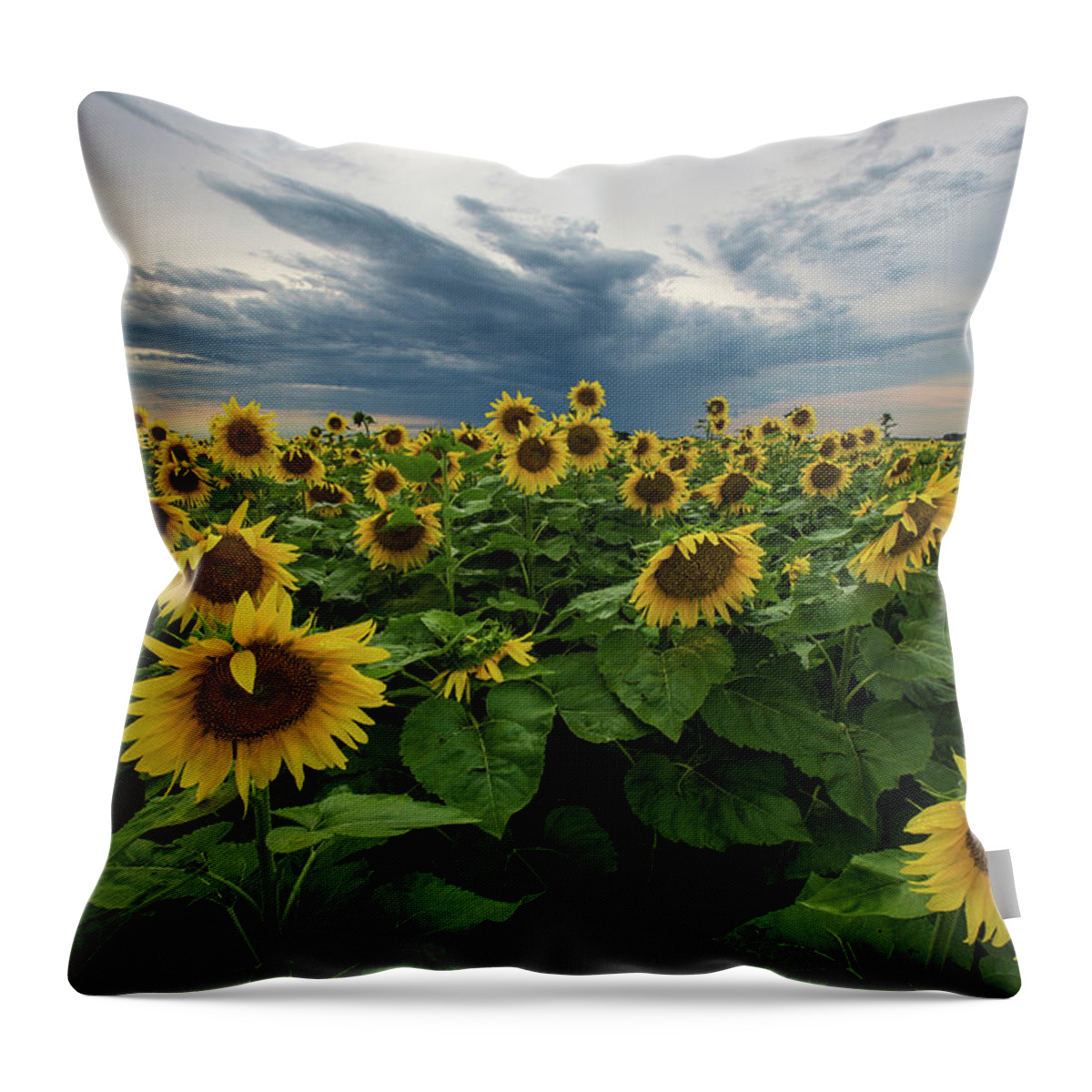 Storm Throw Pillow featuring the photograph Here Comes The Sun by Aaron J Groen
