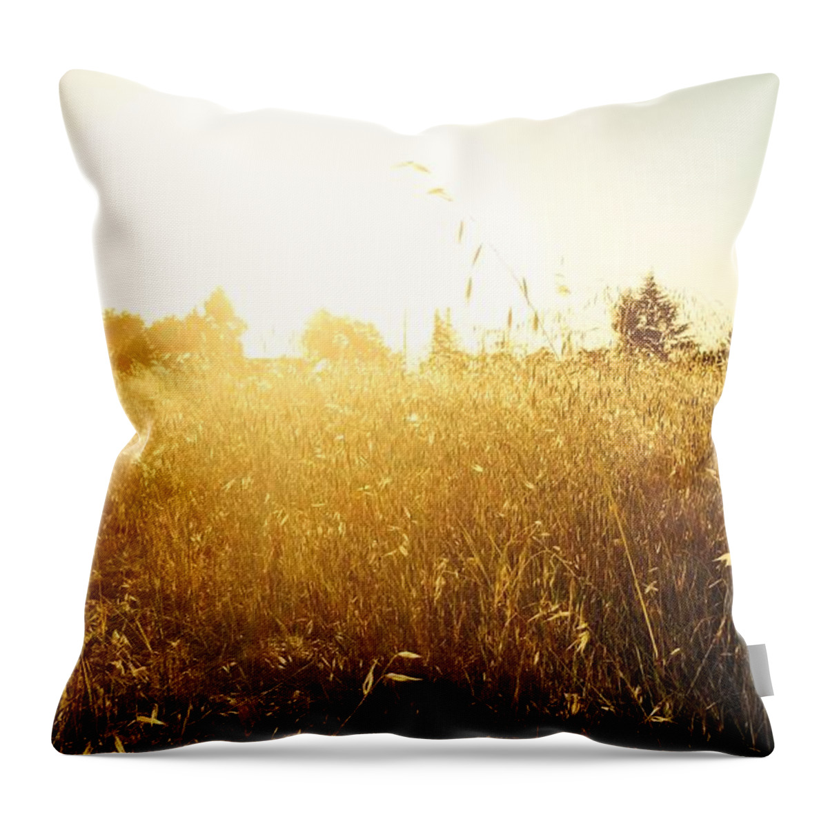 Field Throw Pillow featuring the photograph Here in the field by C Oeur