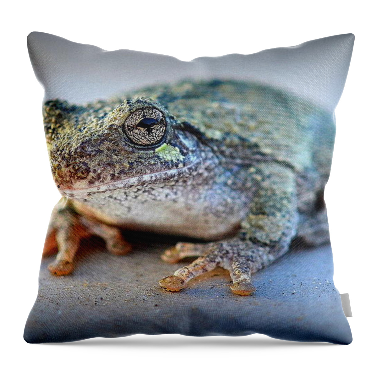Frog Throw Pillow featuring the photograph Here's Looking At You by Andrea Platt