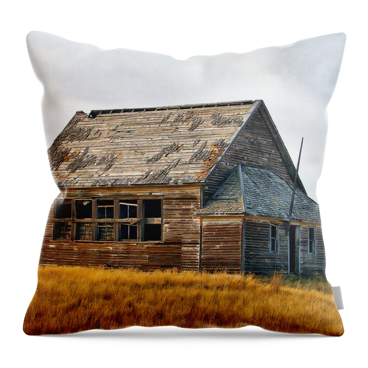 School Throw Pillow featuring the photograph Heritage by Blair Wainman