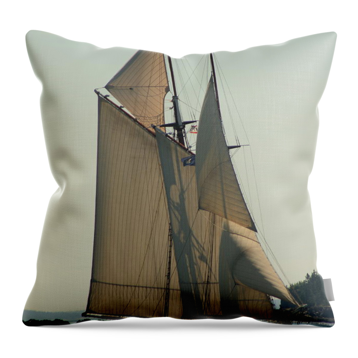 Seascape Throw Pillow featuring the photograph Heritage Homeward by Doug Mills
