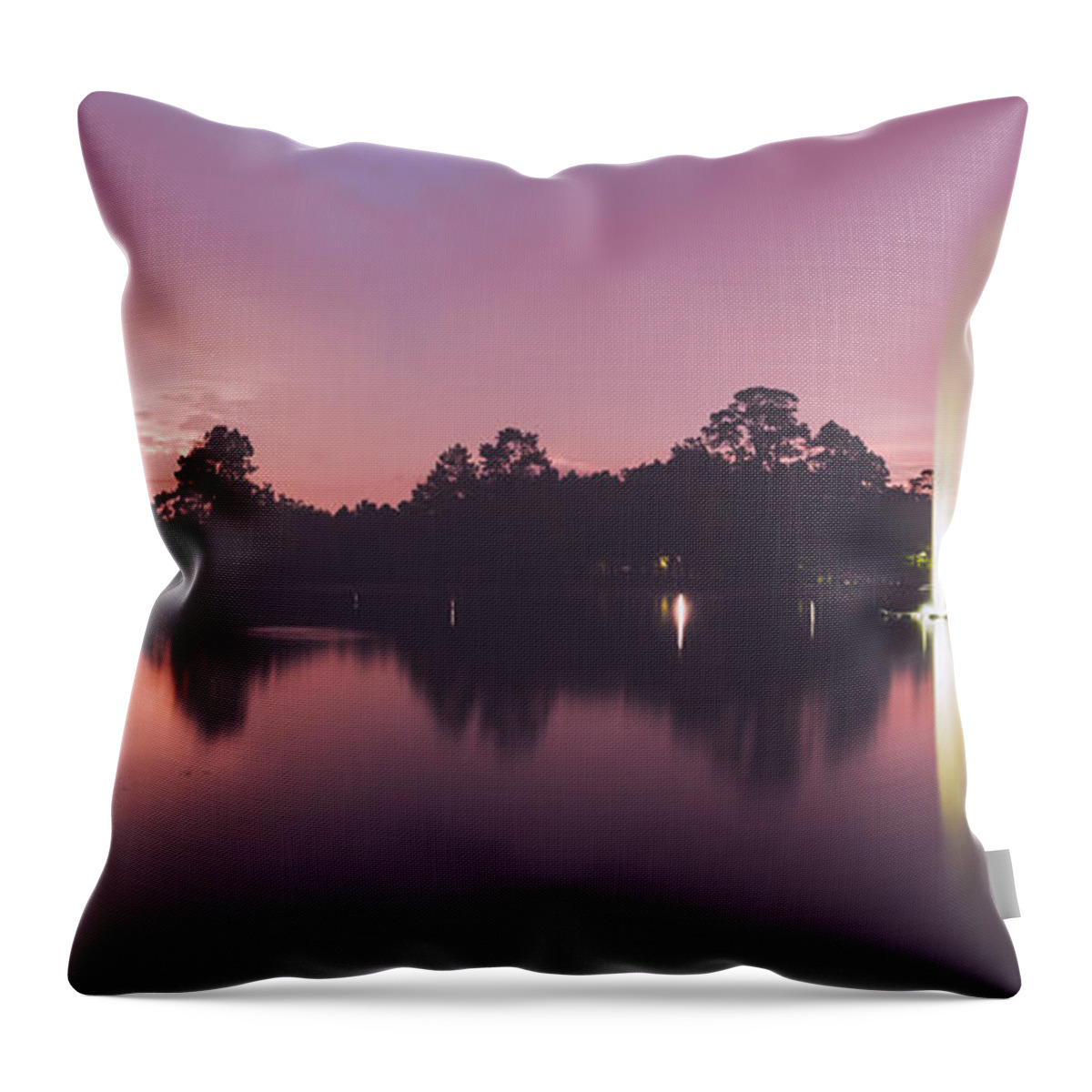 Hermann Throw Pillow featuring the photograph Hermann Park by Ray Devlin