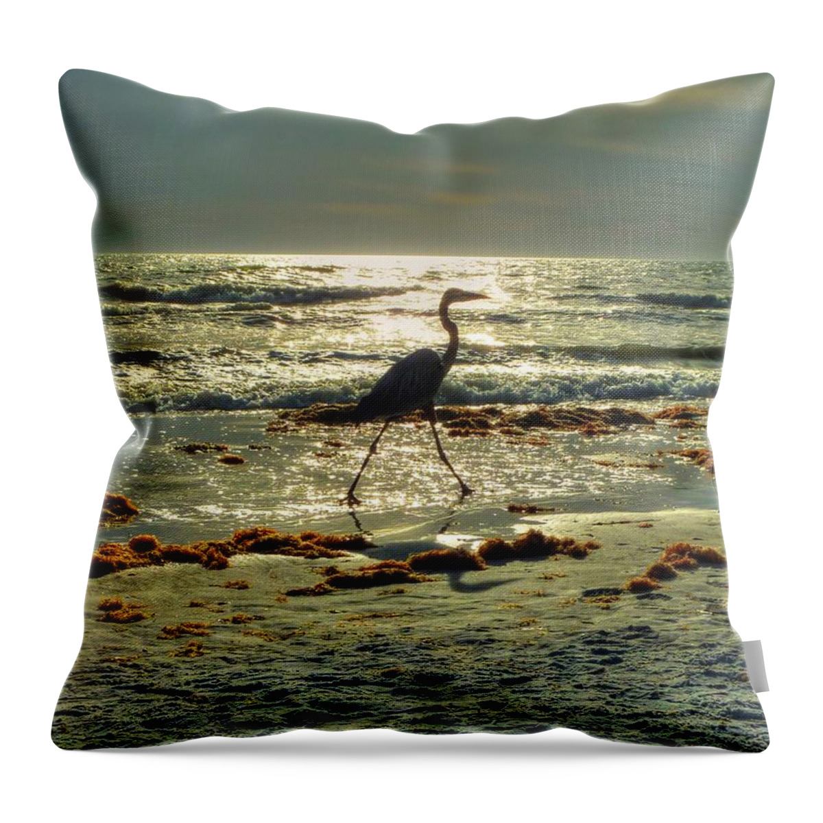 Heron Throw Pillow featuring the photograph Heron Beachwalk by Michael Garyet