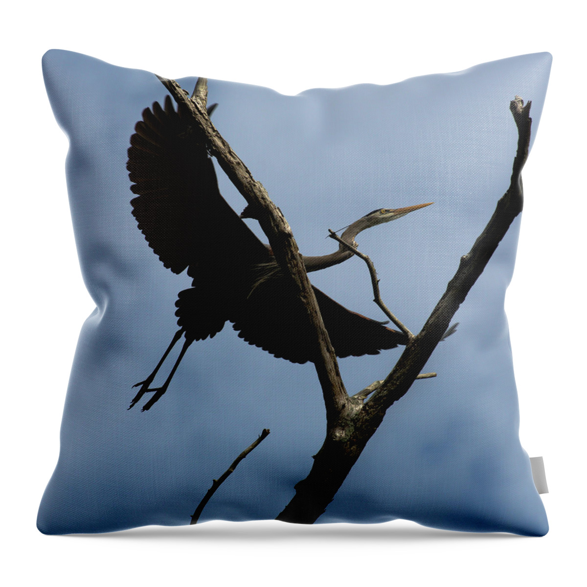 Blue Heron Throw Pillow featuring the photograph Heron Flight by Dillon Kalkhurst