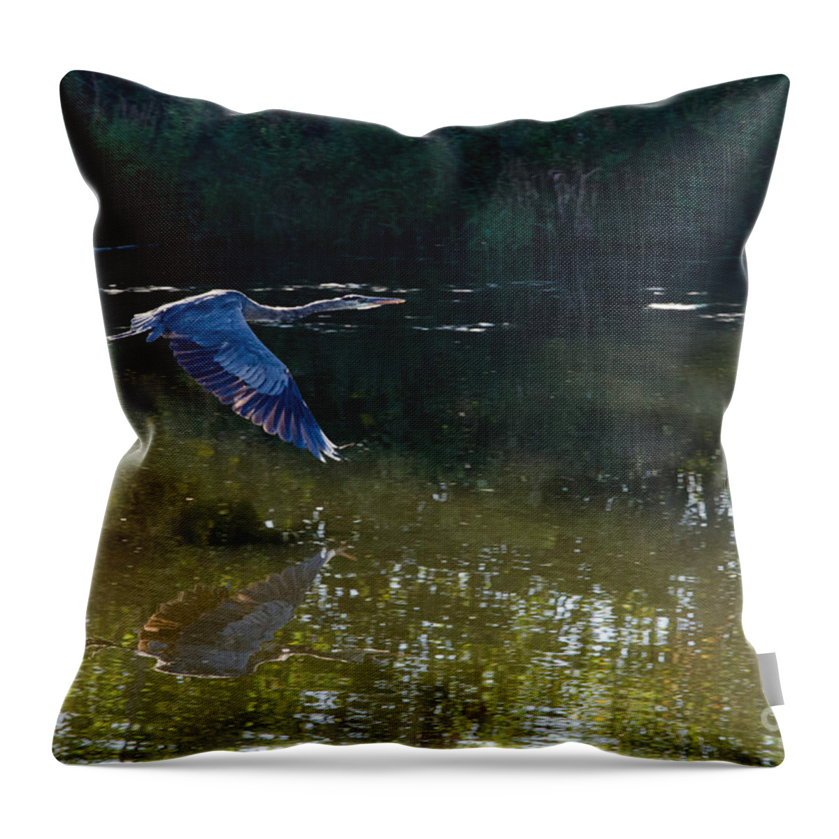 Heron Throw Pillow featuring the photograph Heron Flight by Laurel Best