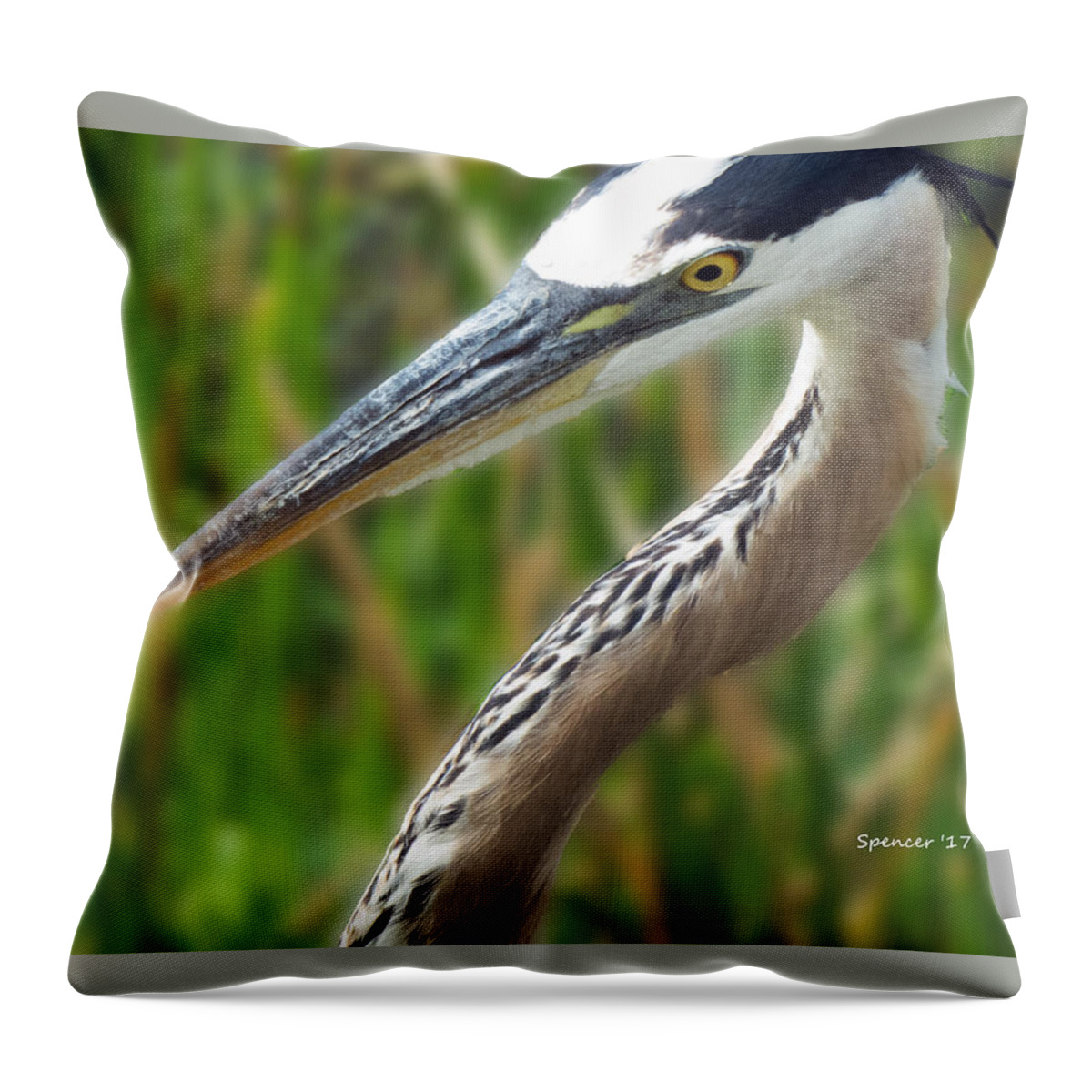 Florida Throw Pillow featuring the photograph Heron Head by T Guy Spencer