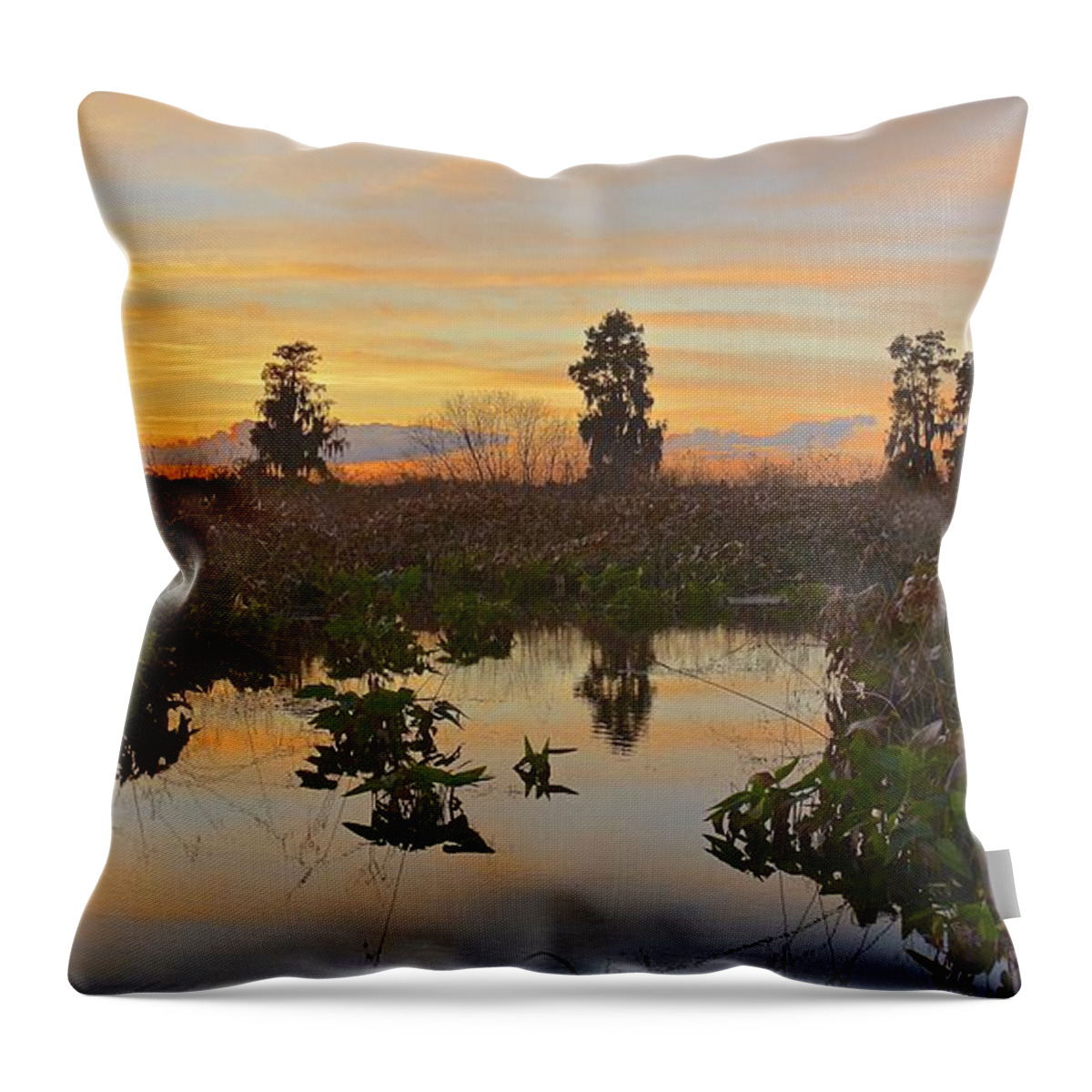 Sunset Throw Pillow featuring the photograph Heron Hideout Sunset by Carol Bradley
