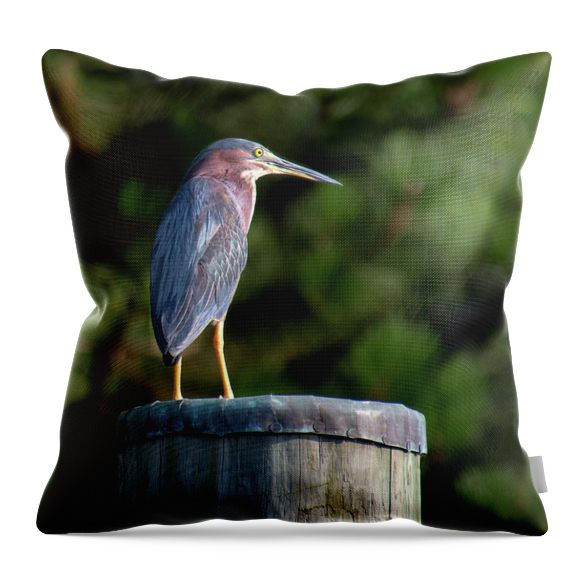 Heron Throw Pillow featuring the photograph Heron on piling by Karen Smale