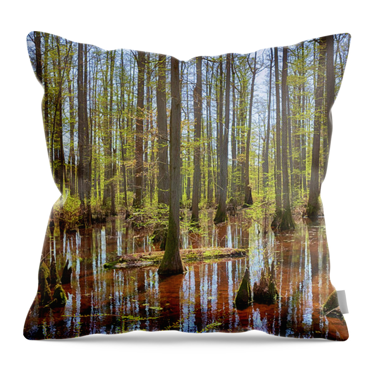 Heron Pond Throw Pillow featuring the photograph Heron Pond by Susan Rissi Tregoning