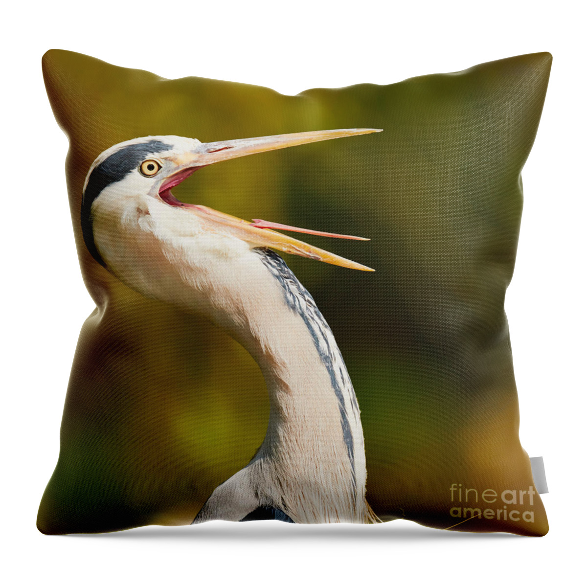 Closeup Throw Pillow featuring the photograph Heron with its beak wide open by Nick Biemans