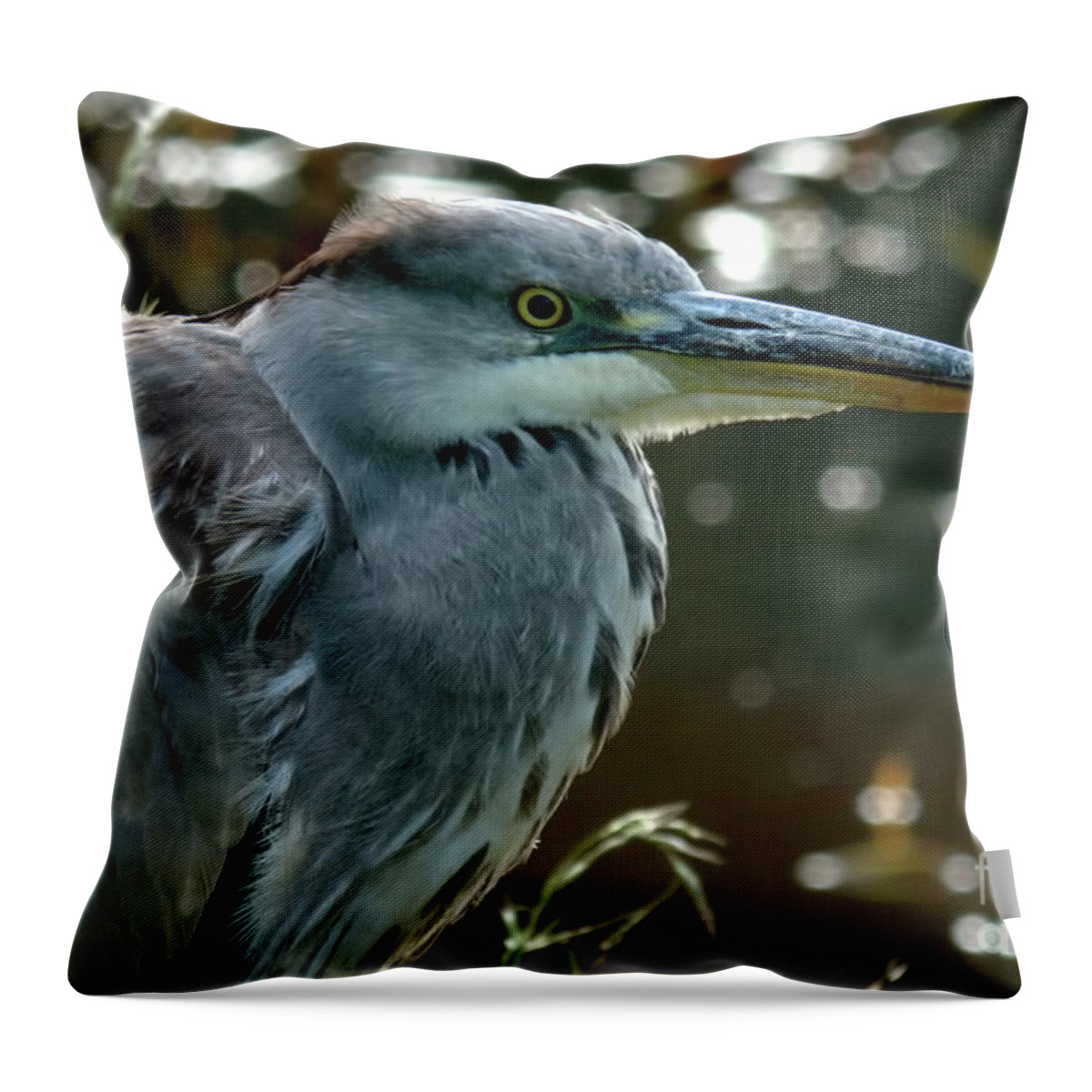 Bird Throw Pillow featuring the photograph Herons Looking At You Kid by Stephen Melia