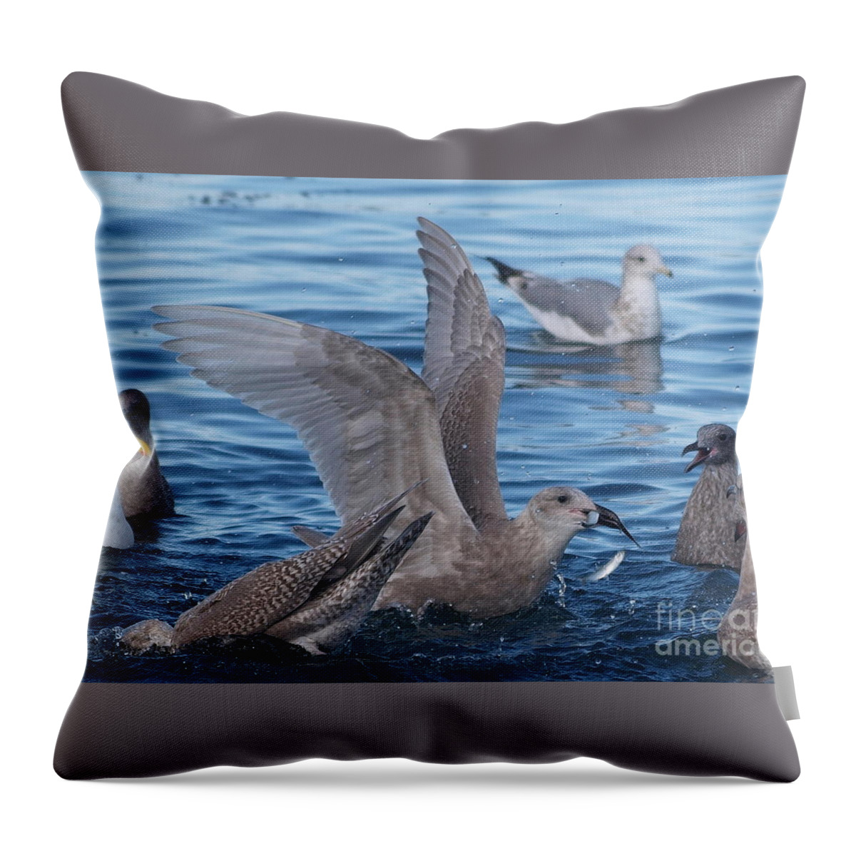 Herring Throw Pillow featuring the photograph Herring Feast by Vivian Martin