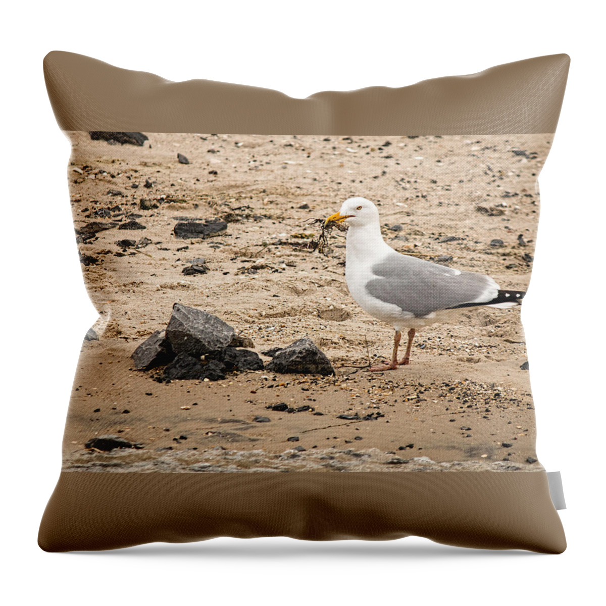 Shorebird Throw Pillow featuring the photograph Herring Gull On The Beach by Kristia Adams