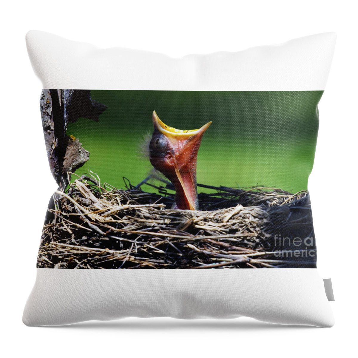 Bird Throw Pillow featuring the photograph Hey I'm Happy Spring Is Here by Bob Christopher
