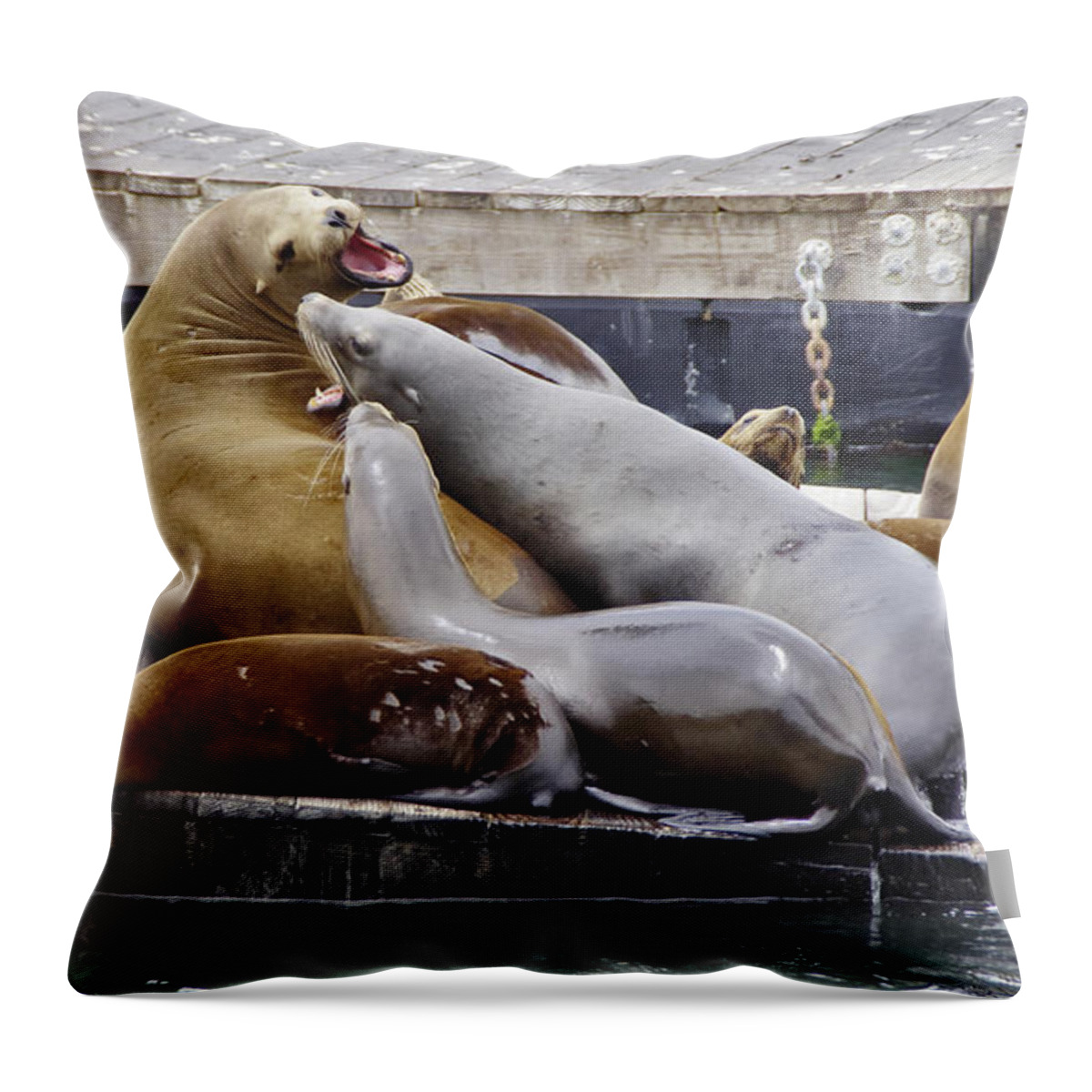 Sea Lions Throw Pillow featuring the photograph Hey Im Tryin Ta Sleep Here by Scott Evers