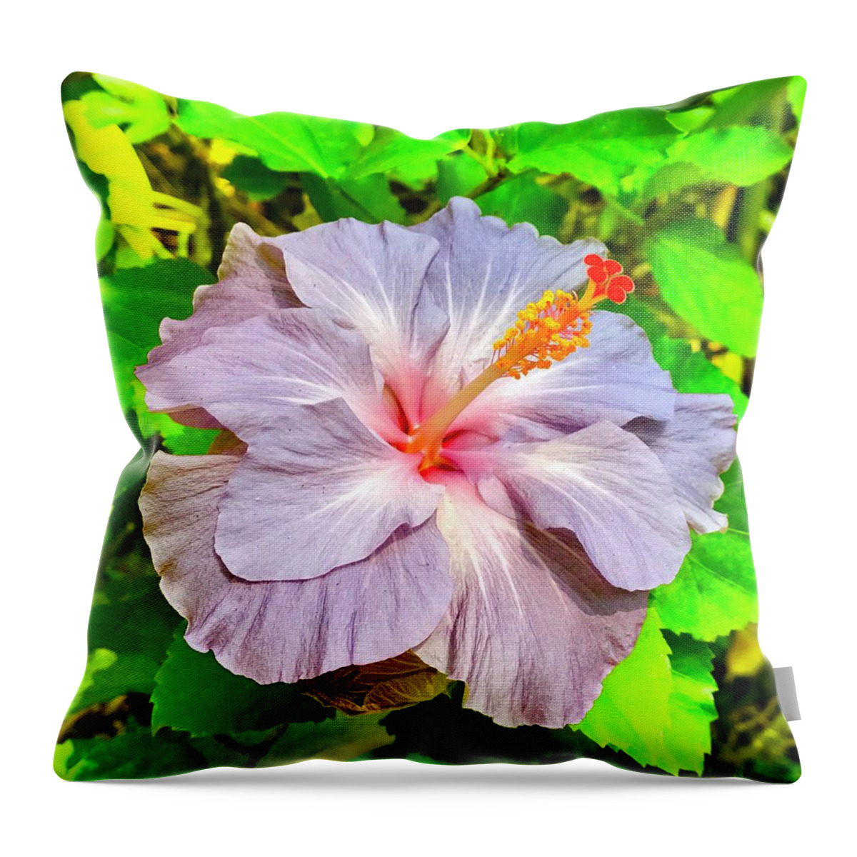 Hibiscus Adele 1 Flowers Of Aloha Lavender Throw Pillow featuring the photograph Hibiscus Adele 1 by Joalene Young