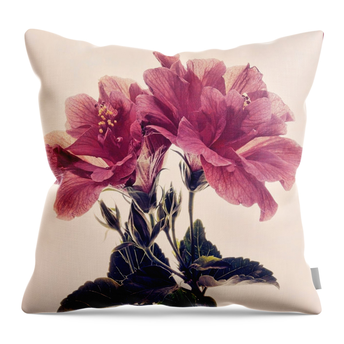 Hibiscus Throw Pillow featuring the photograph Hibiscus Heaven by Leda Robertson