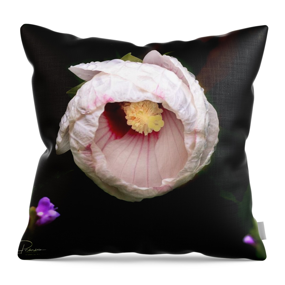 Hibiscus Throw Pillow featuring the photograph Hibiscus in bloom by Jackson Pearson