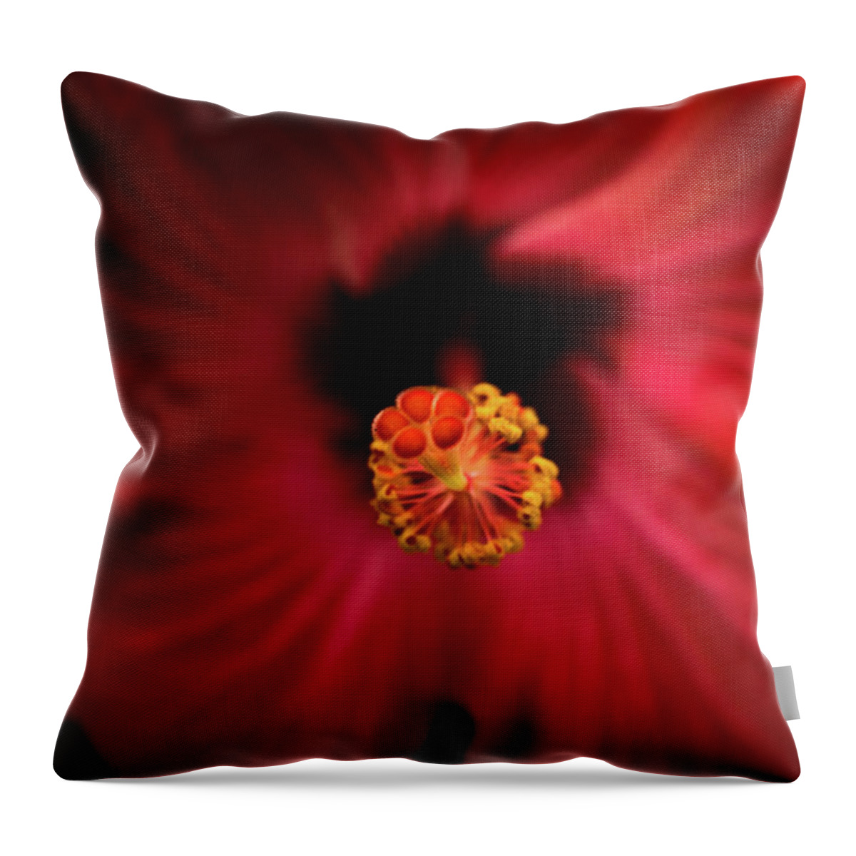 Jay Stockhaus Throw Pillow featuring the photograph Hibiscus by Jay Stockhaus