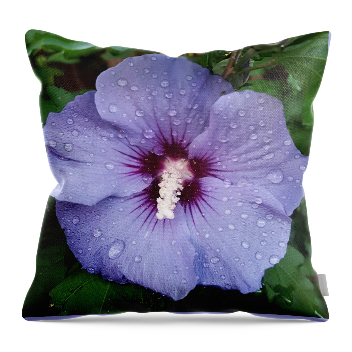 Flower Throw Pillow featuring the photograph Hibiscus by Jim Harris