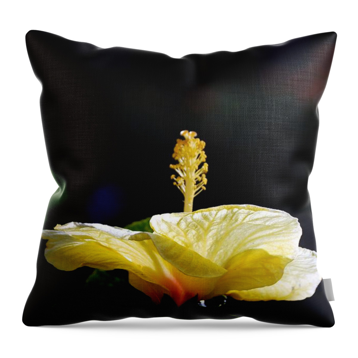 Hibiscus Throw Pillow featuring the photograph Hibiscus Morning by Debbie Karnes
