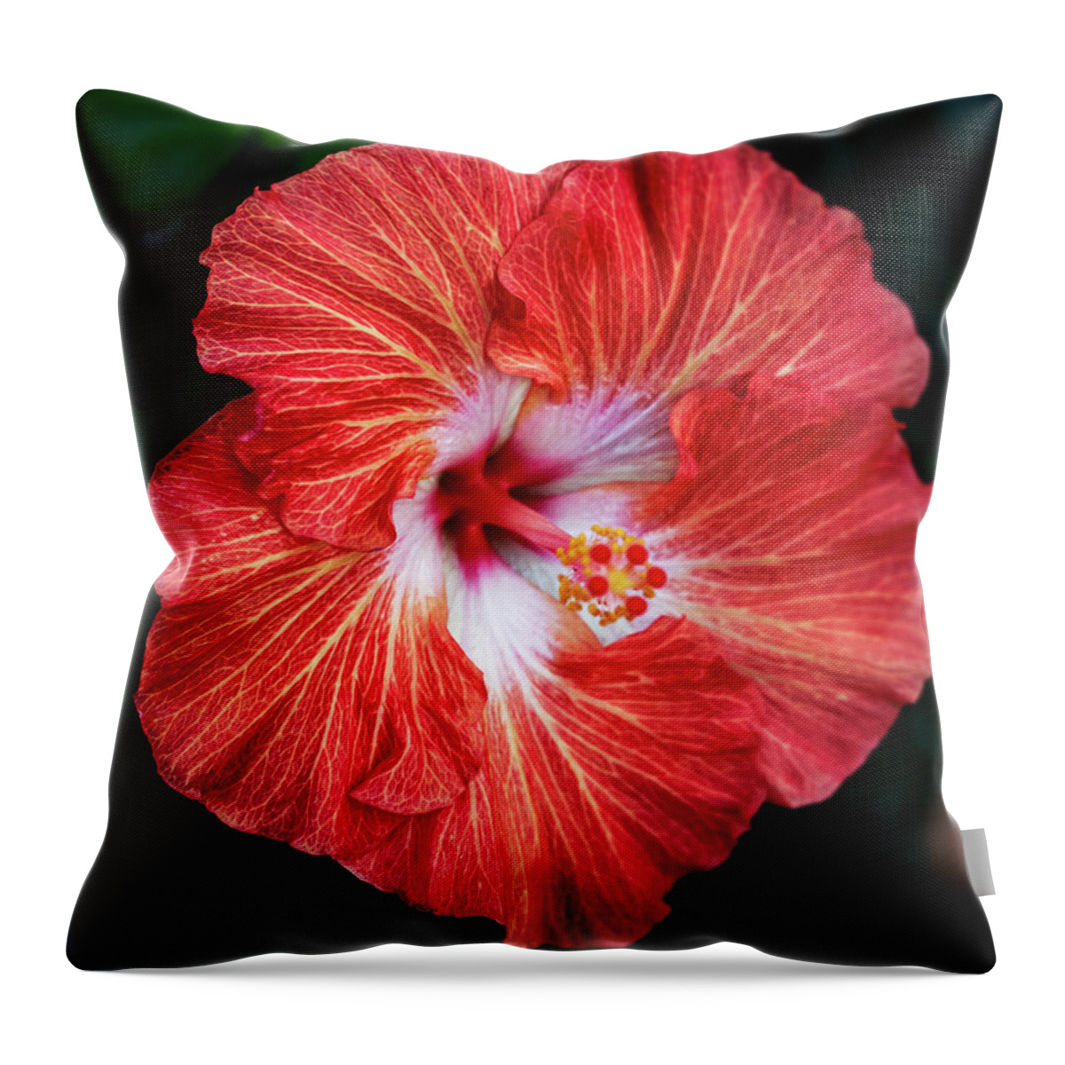 Hibiscus Throw Pillow featuring the photograph Hibiscus by Pamela S Eaton-Ford