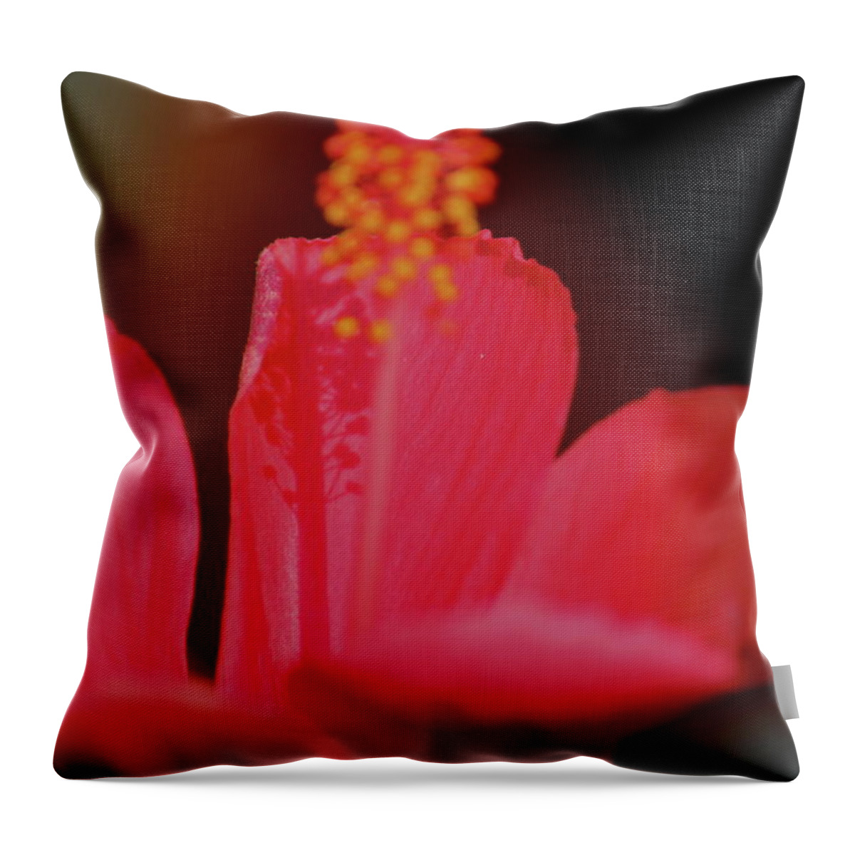Hibiscus Throw Pillow featuring the photograph Hibiscus Shadows by Trent Mallett