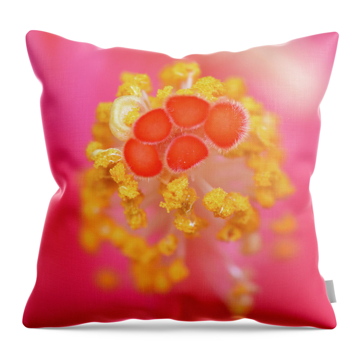Hibiscus Throw Pillow featuring the photograph Hibiscus stigma by Karen Smale