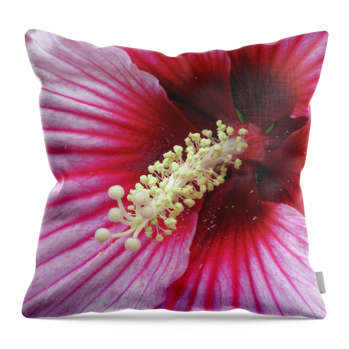 Hibiscus Throw Pillow featuring the photograph Hibiscus - Summerific Summer Storm 08 by Pamela Critchlow