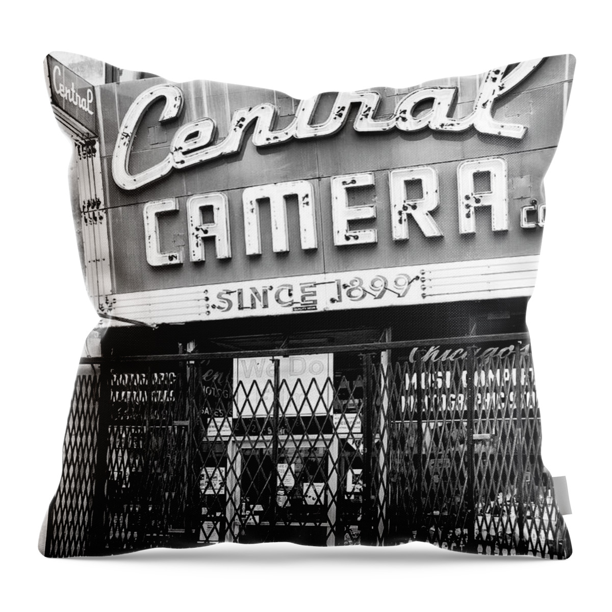 Camera Throw Pillow featuring the photograph HIDDEN CAMERA Central Camera by William Dey