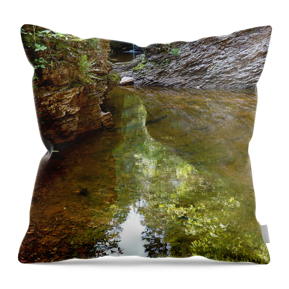 Gauthier Creek Throw Pillow featuring the photograph Hidden Gem on Gauthier Creek by Sandra Updyke
